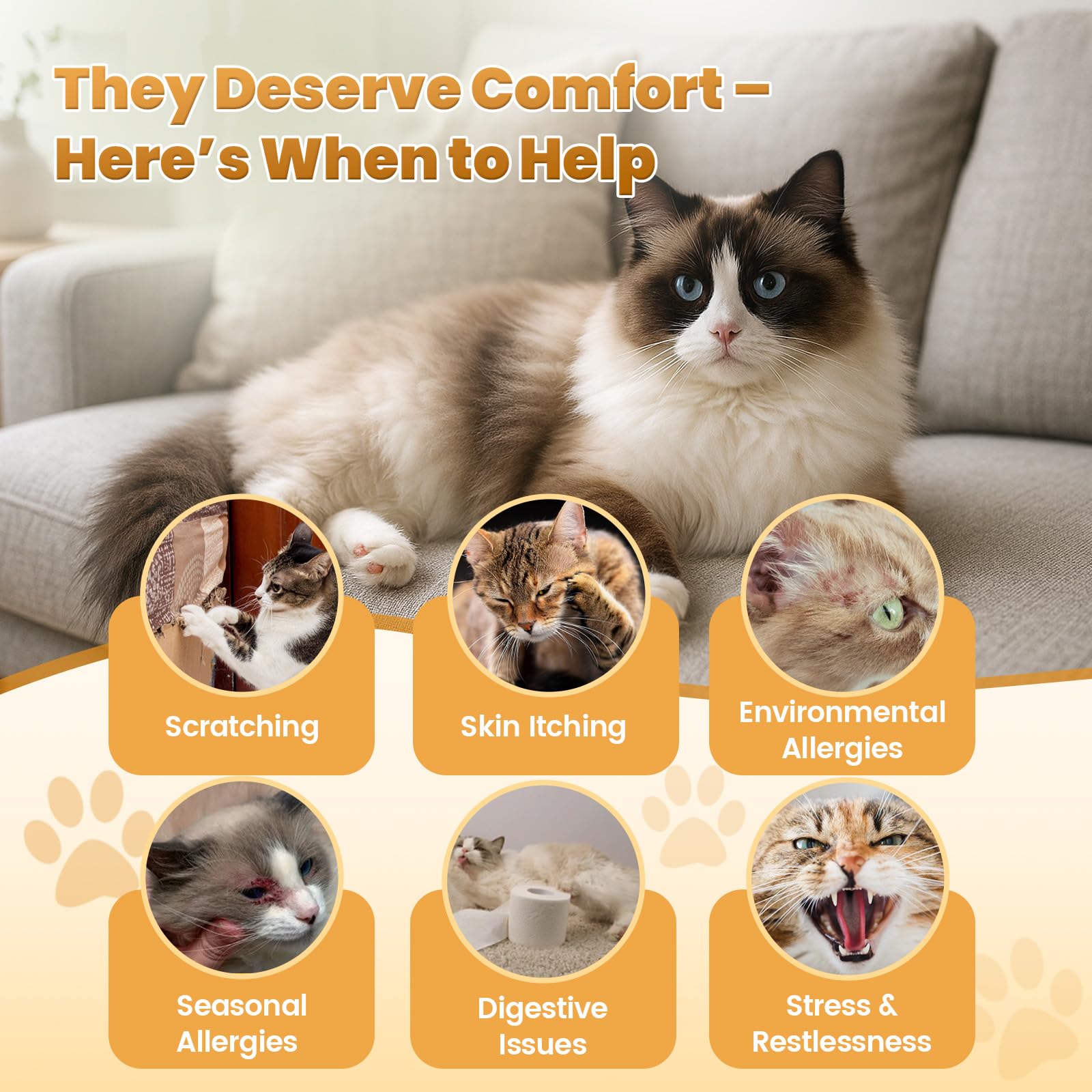 Cudory cat allergy chews probiotic culture, supports gut balance and nutrient absorption.