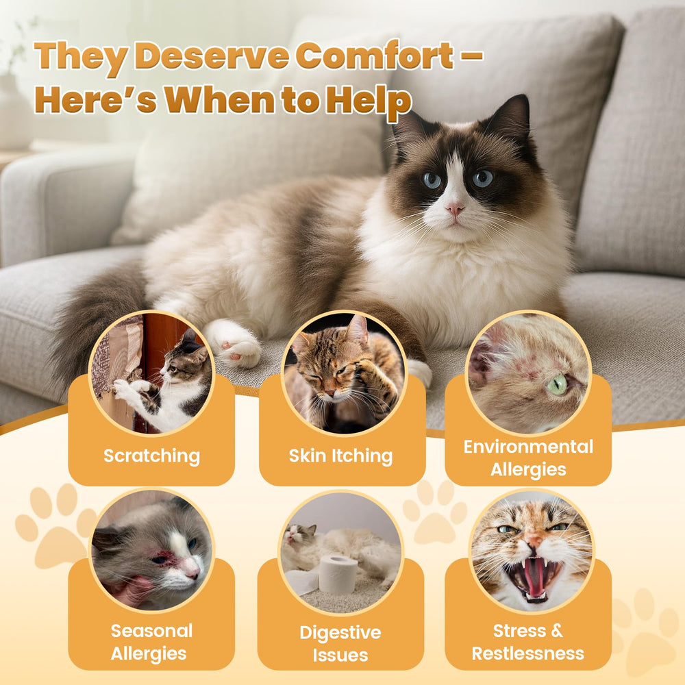Cudory cat allergy chews probiotic culture, supports gut balance and nutrient absorption.