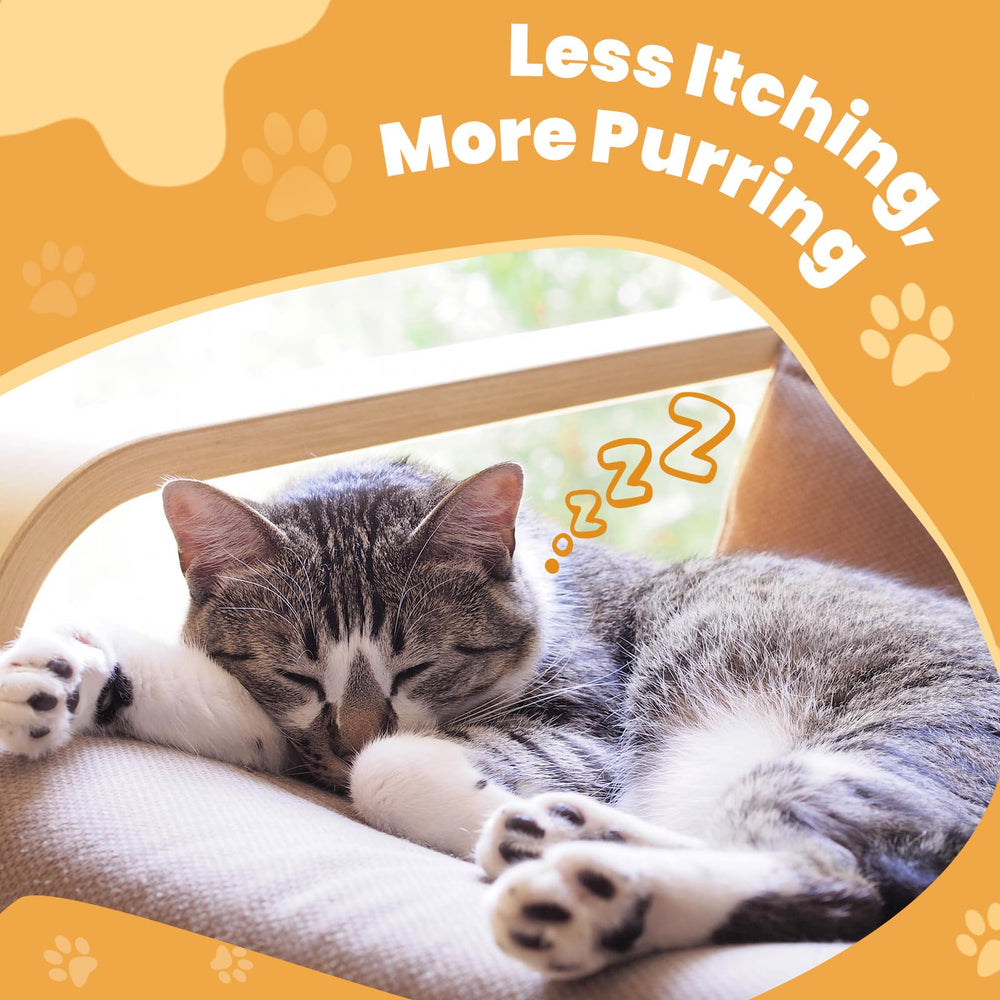 Cudory cat allergy chews skin and coat glow from fish oil.