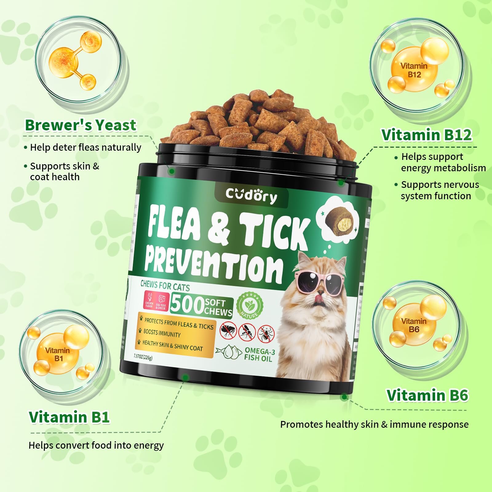 Cudory cat enjoying flavor experience during daily routine.