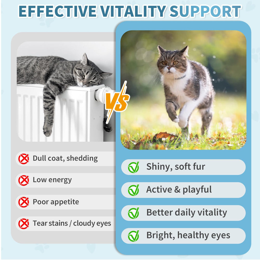 Cudory Cat Multivitamin taurine-methionine ingredients highlight heart, vision and urinary support potential.
