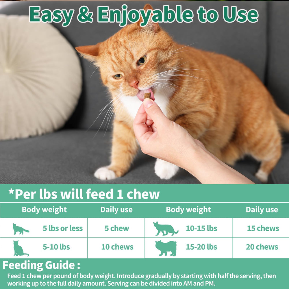 Cudory Cat Probiotics bottle close-up shows premium ingredients and clear labeling.