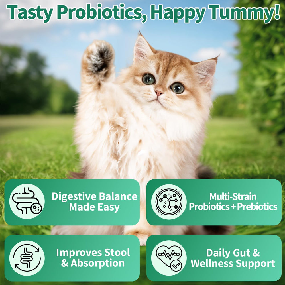 Cudory Cat Probiotics chicken-flavor treats make daily use enjoyable while aiding digestion.
