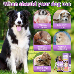 Cudory dog allergy relief drops ingredients turmeric and elderberry promote holistic skin nourishment