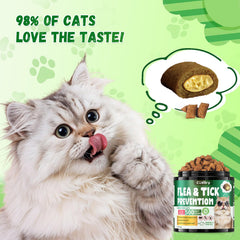 Cudory flea-tick chews serving idea with cat bowl for simple daily care.