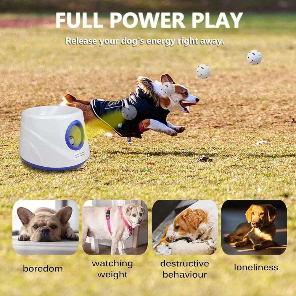 Cuelab 6 ETPU tennis balls in use, designed for durable, reliable fetch sessions.