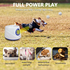 Cuelab 6 ETPU tennis balls in use, designed for durable, reliable fetch sessions.