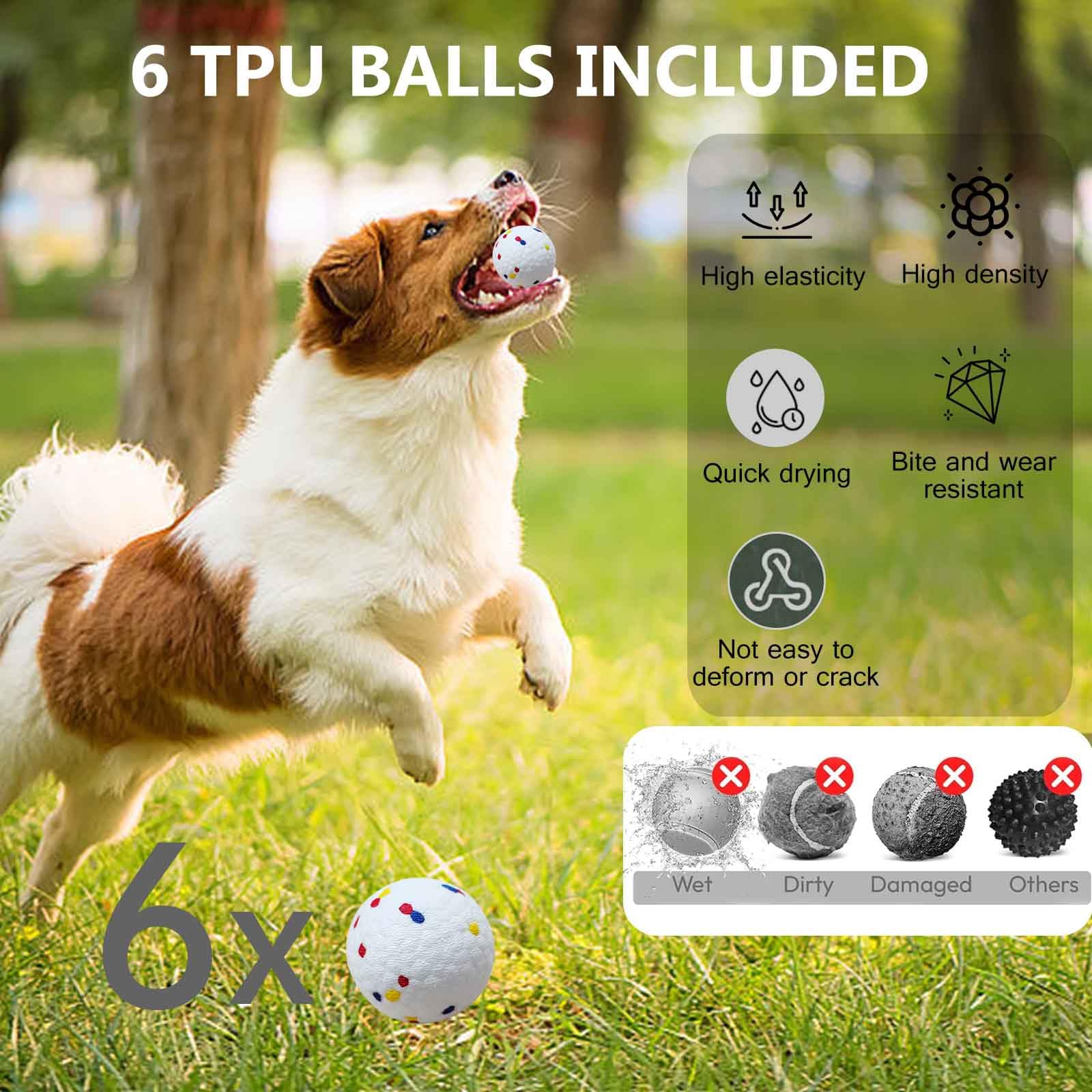 Cuelab launcher in quiet operation with silent motor during fetch fun.