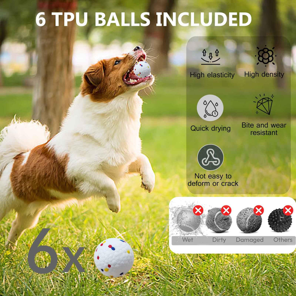 Cuelab launcher in quiet operation with silent motor during fetch fun.