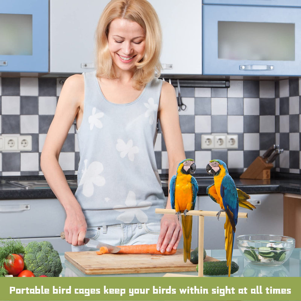 Cunno bird training stand kit clicker demonstrates training feedback for positive reinforcement sessions.