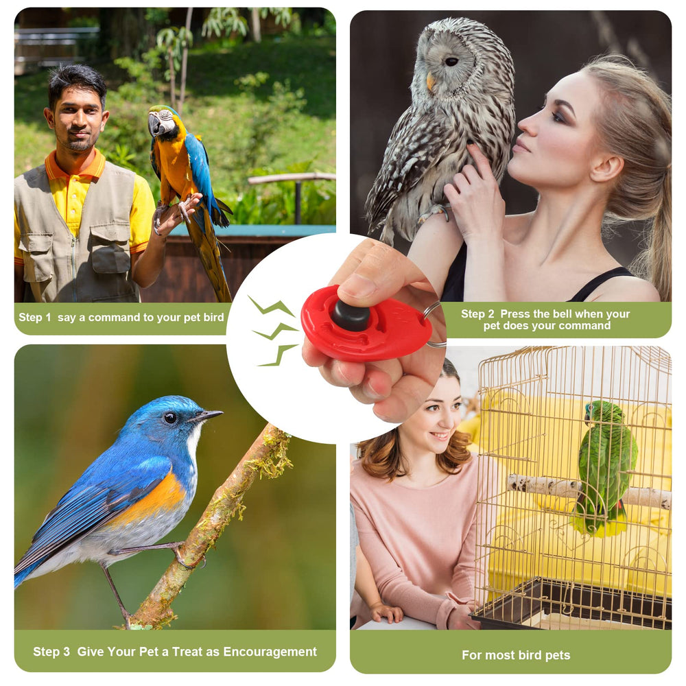 Cunno bird training stand kit package includes all essentials for quick training setup.