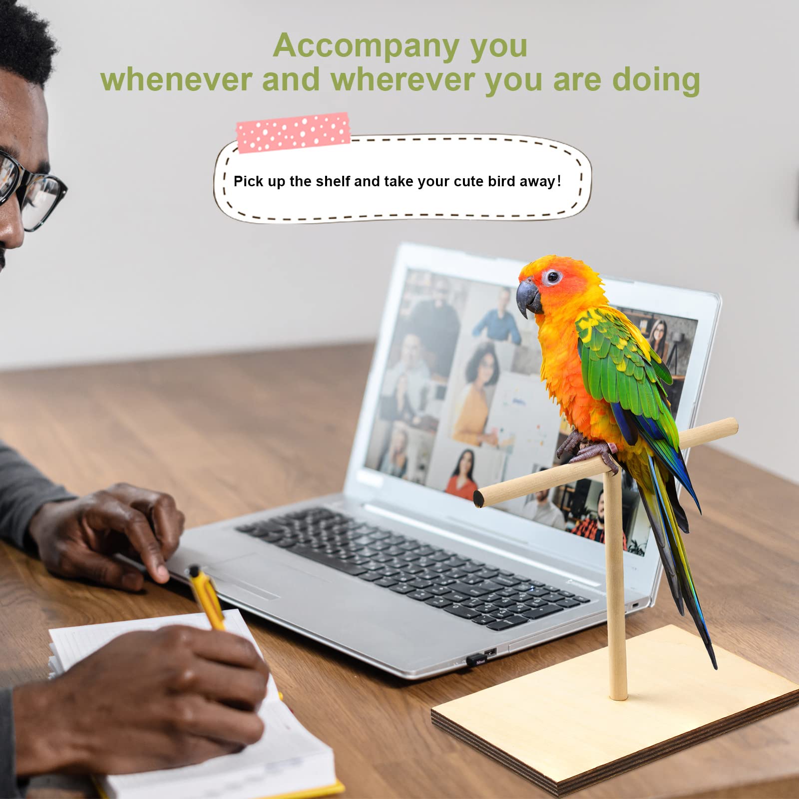 Cunno bird training stand kit target stick highlights cue-based exercises for parrot skill development.