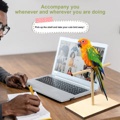 Cunno bird training stand kit target stick highlights cue-based exercises for parrot skill development.