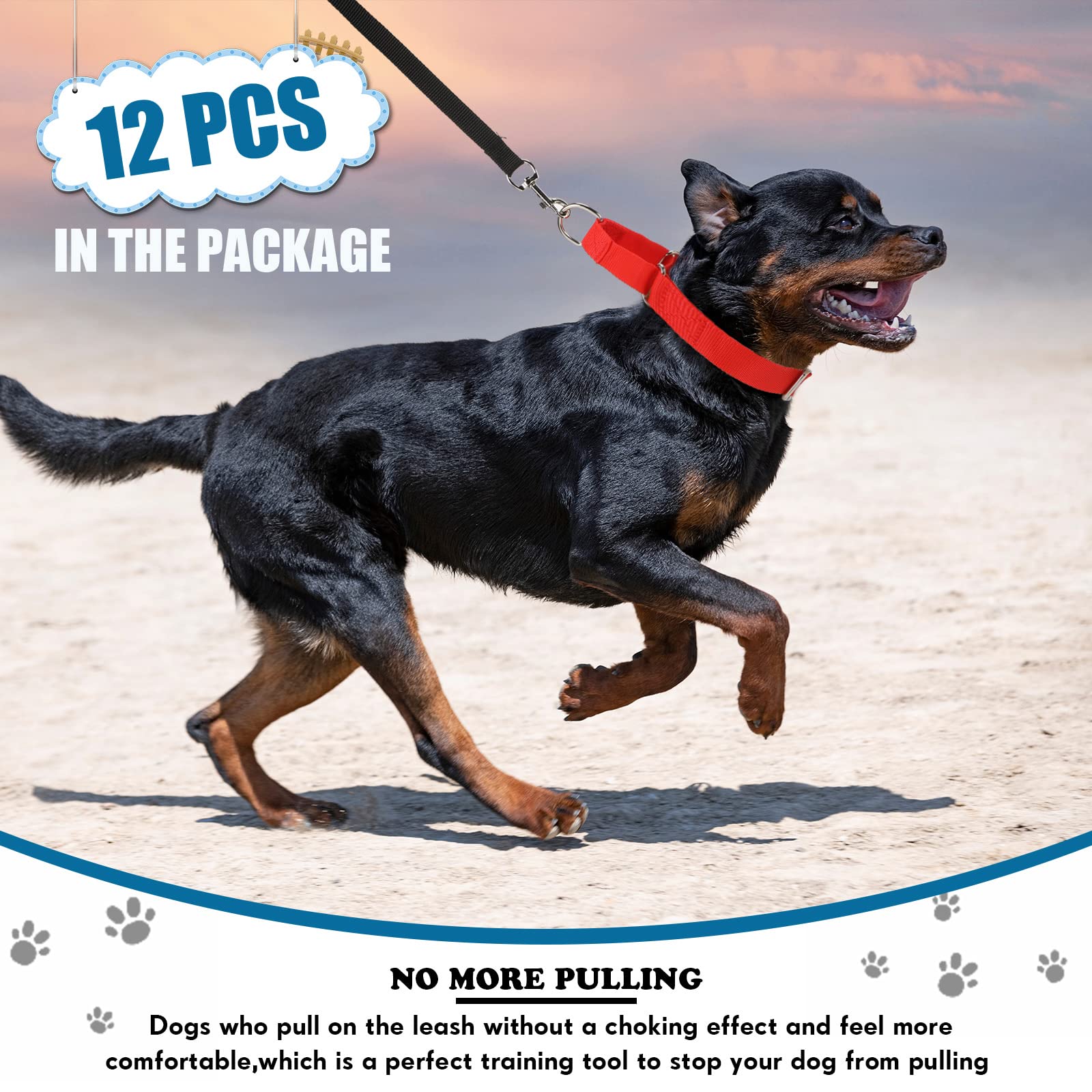 Cunno durable-metal-buckle collar: sturdy closure for reliable dog control.