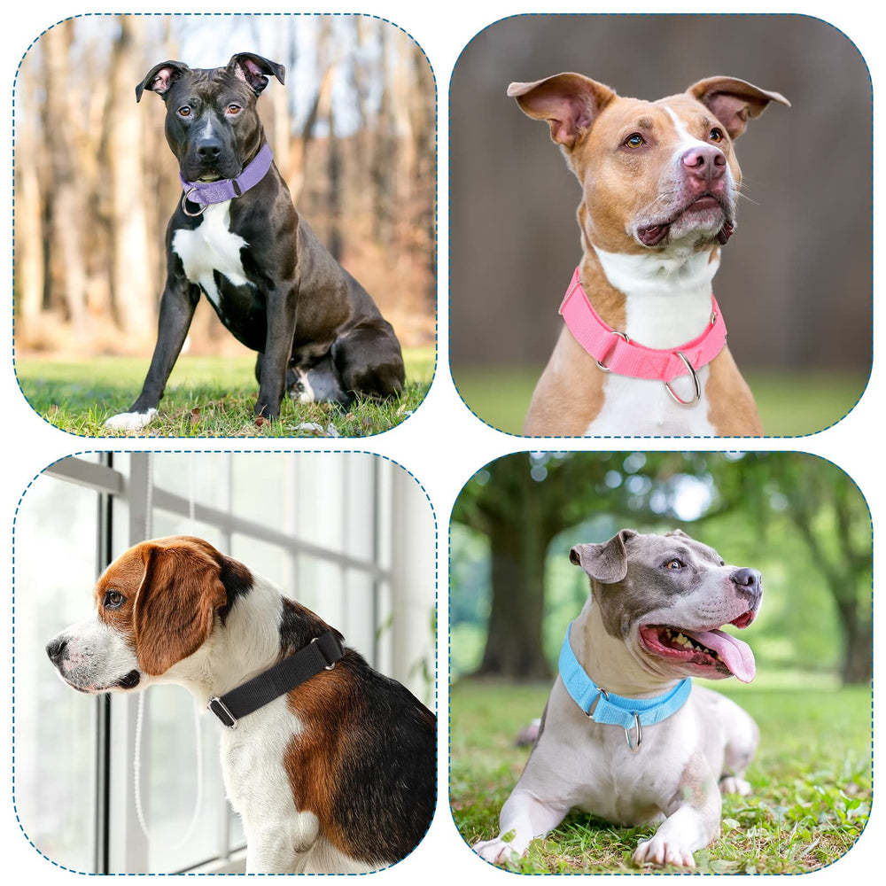 Cunno easy slip on dog collar for quick daily fittings.