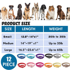Cunno martingale collar adjustable neck size for secure fit.