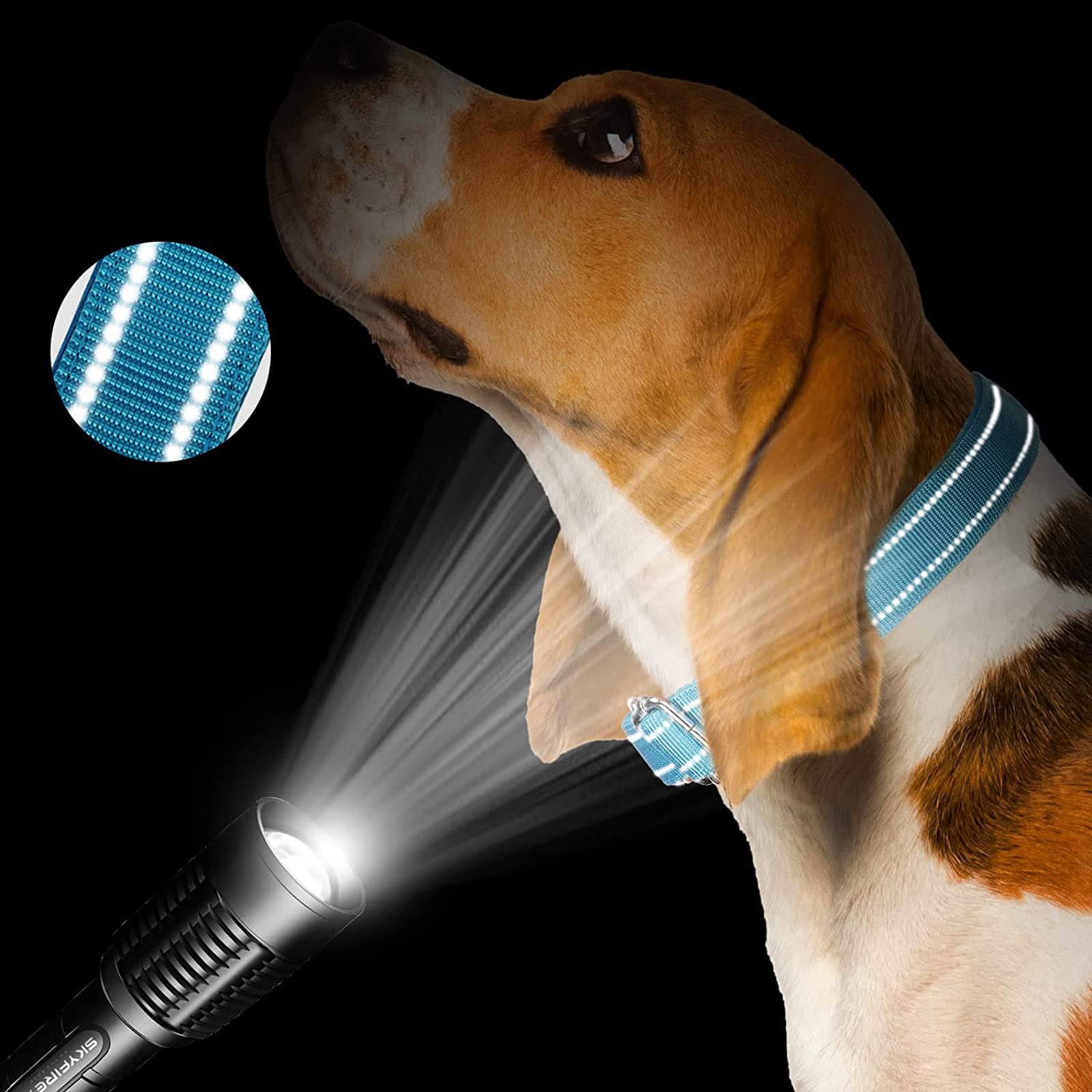 Cunno martingale collar durable metal buckle for daily use.