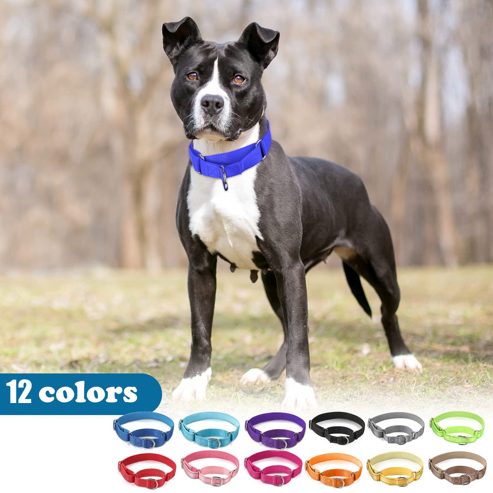 Cunno bulk gift pack provides convenient collars for multiple dogs.