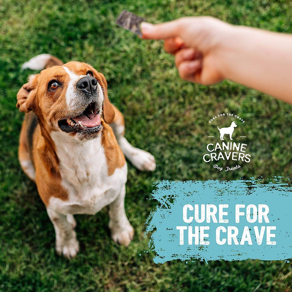 Cure for the Crave Canine Cravers human-grade pet food—trusted ingredients for dogs.