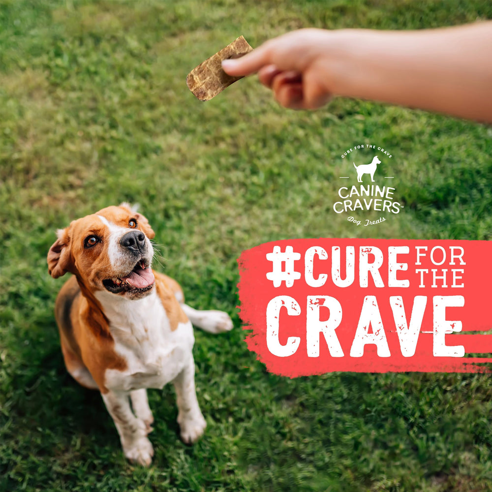 Cure for the Crave Canine Cravers human-grade turkey treats trusted ingredients
