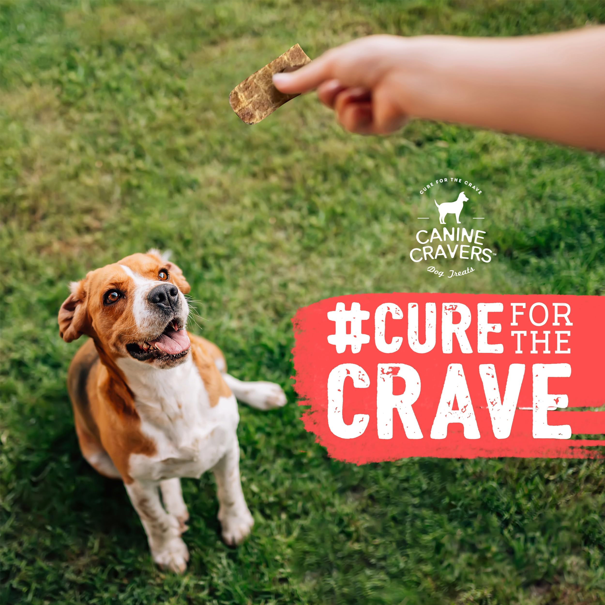 Cure for the Crave Canine Cravers single-ingredient turkey jerky loved by picky eaters.