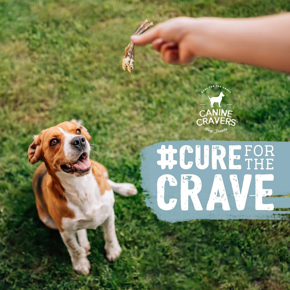 Cure for the Crave Canine Cravers vet-approved snack closeup fosters trust.