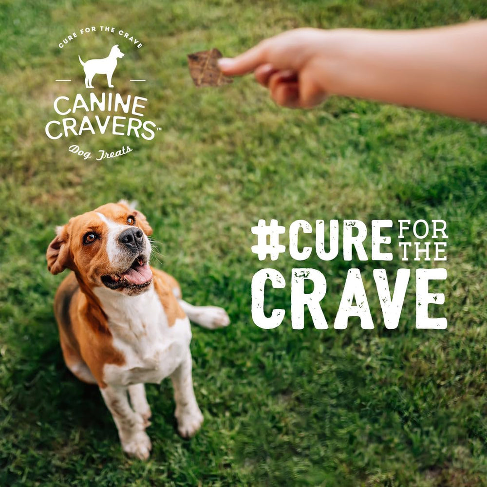 Cure for the Crave vet-approved training reward treats depicted