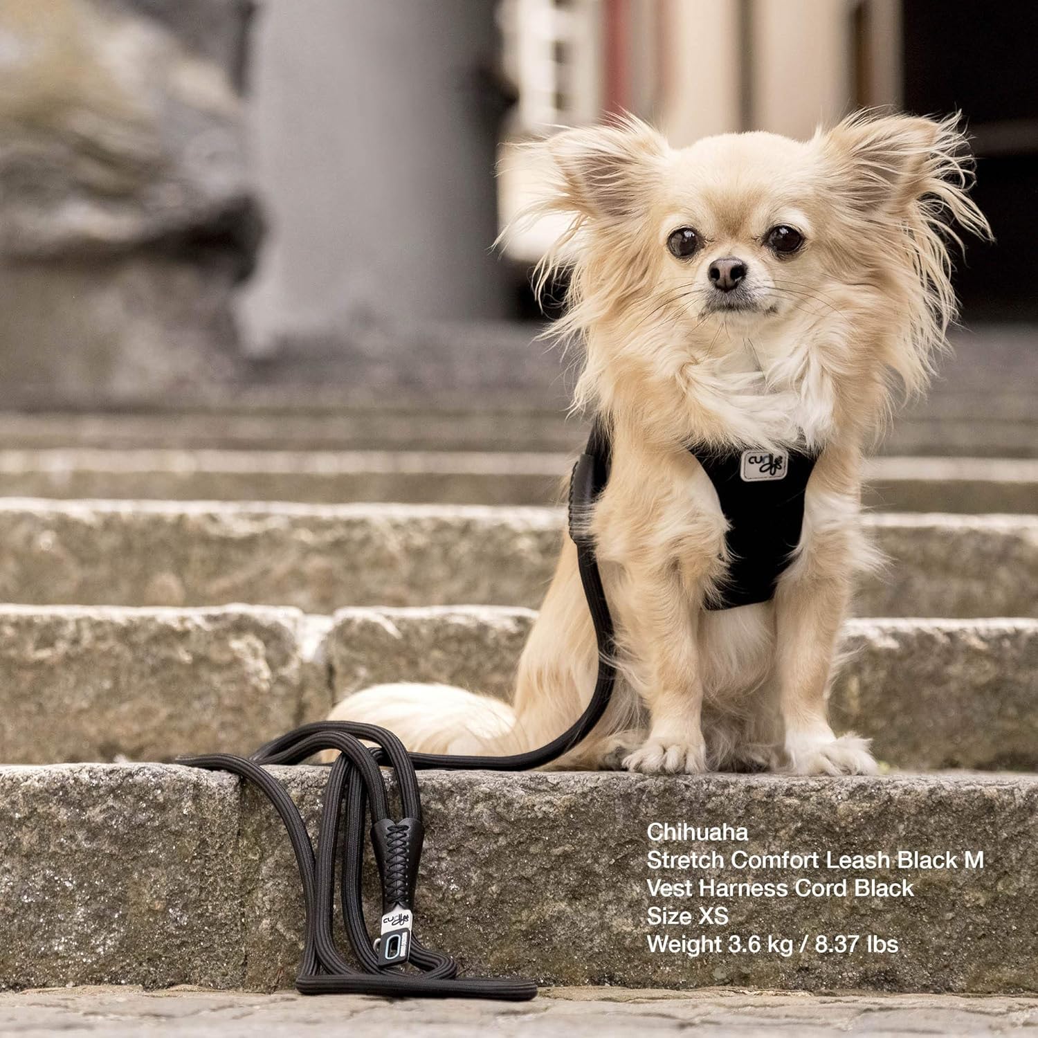 Curli Stretch Comfort Leash Blue M waste-bag dispenser adds convenience.