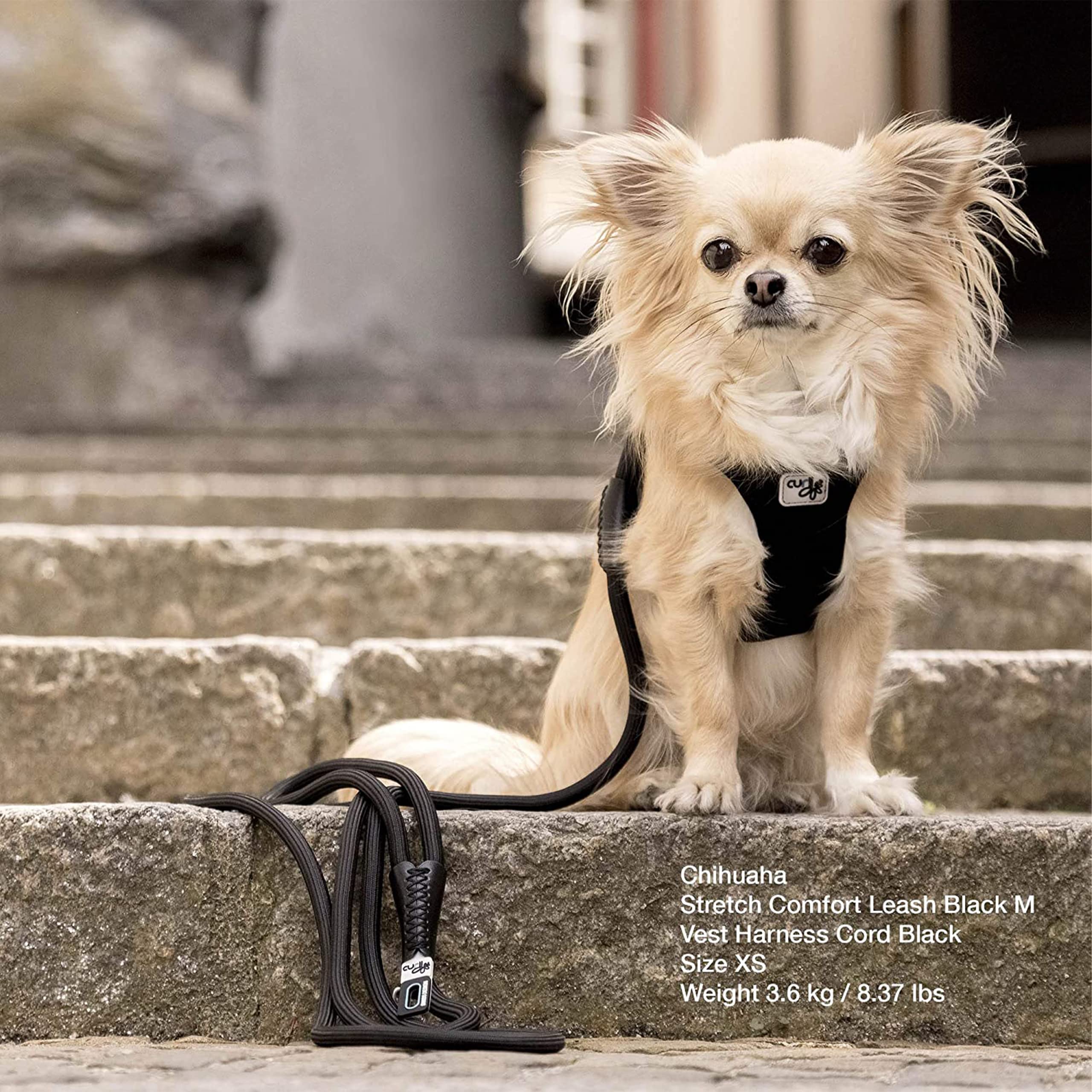 Curli Stretch Comfort Leash Lime M features built-in poop bag dispenser for convenience.