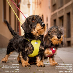 Curli Vest Harness Clasp Air-Mesh Fuchsia L adjustable Velcro offers precise fitting.