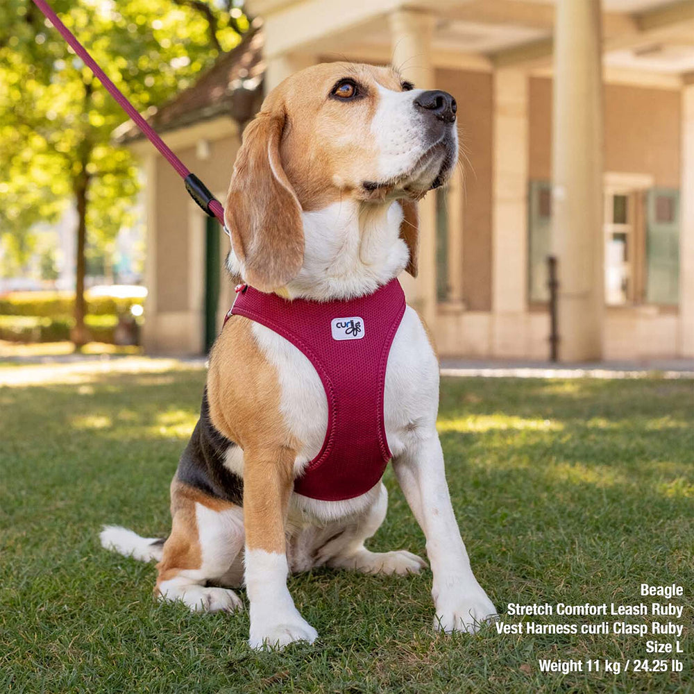 Curli Vest Harness Clasp Air-Mesh Red XS leash-attachment view for versatile use