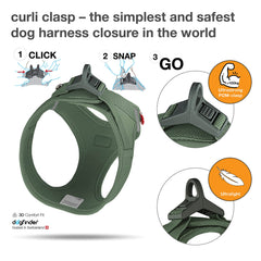 Curli Vest Harness ergonomic fit demonstrates optimized tension distribution for comfortable dog movement.