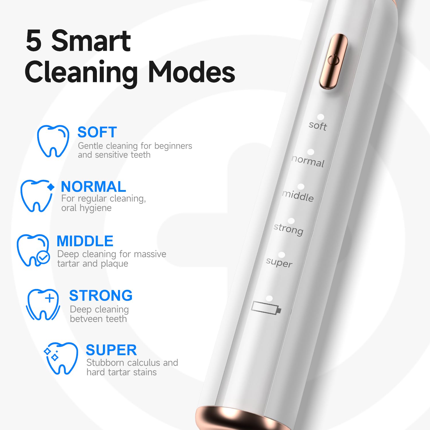 CURVY MOON replaceable cleaning heads extend kit versatility