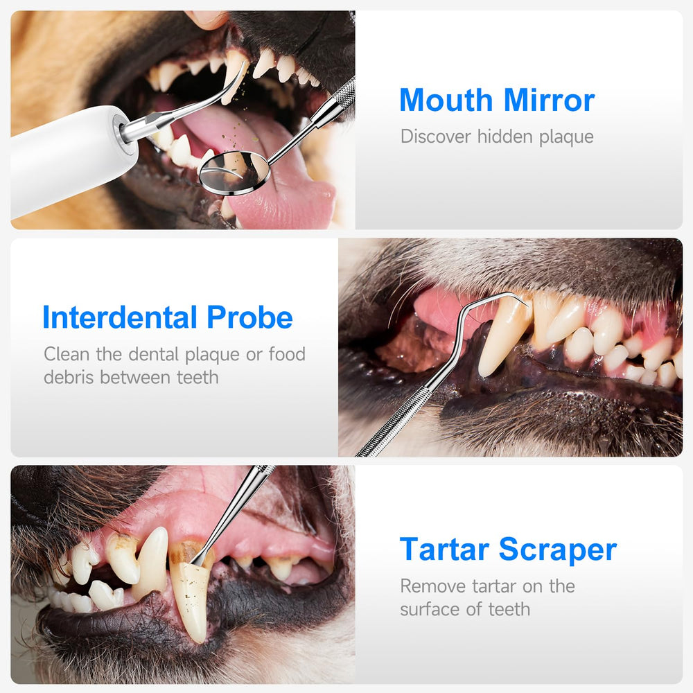 CURVY MOON tartar scraper and mirror assist targeted cleaning