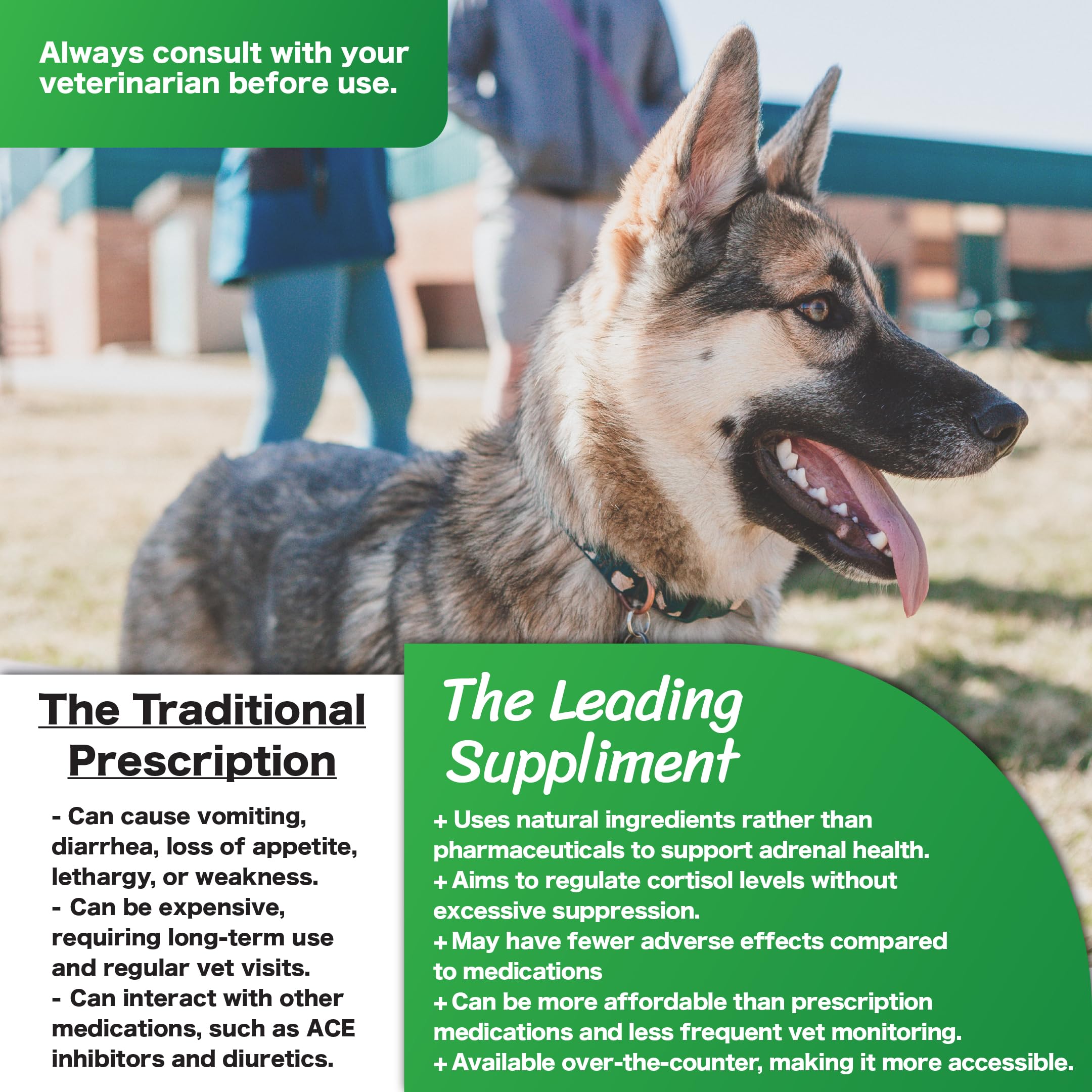 CushAway - Cushing's Disease All-Natural Dog Supplement