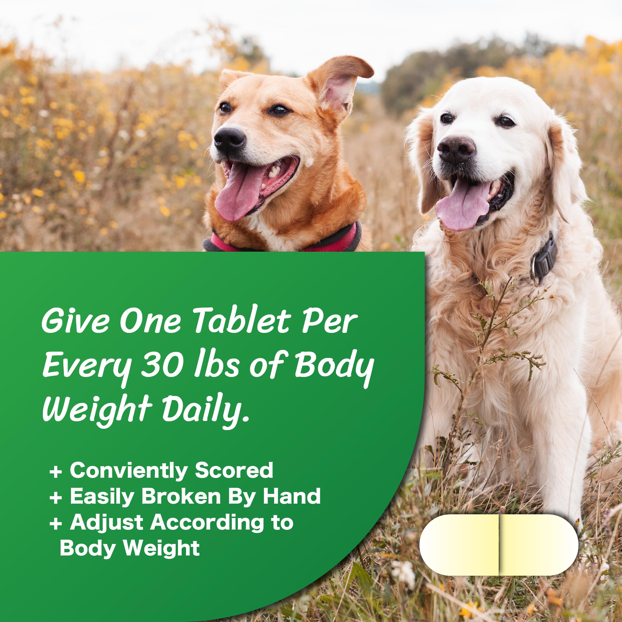 CushAway - Cushing's Disease All-Natural Dog Supplement
