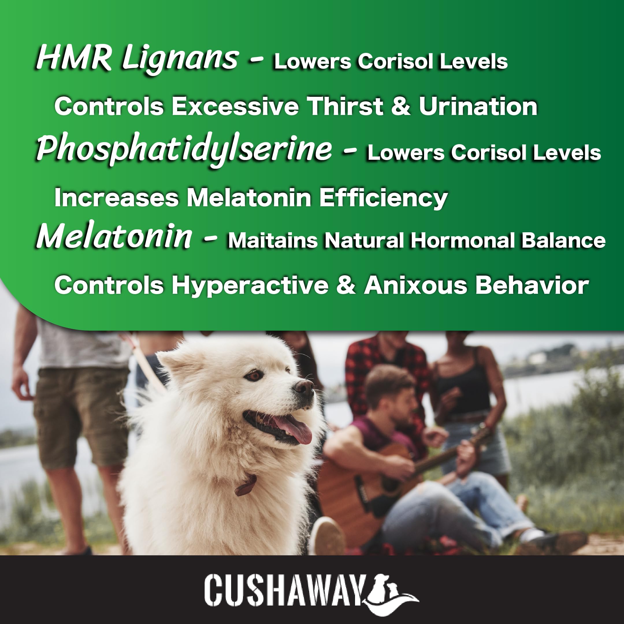 CushAway - Cushing's Disease All-Natural Dog Supplement