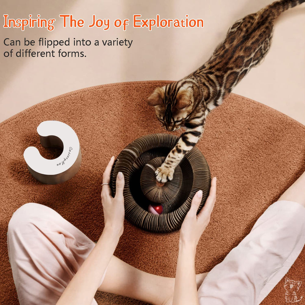 CusieryMax Cat Ball Adventure bell ball inside track offers constant movement.