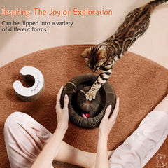 CusieryMax Cat Ball Adventure bell ball inside track offers constant movement.