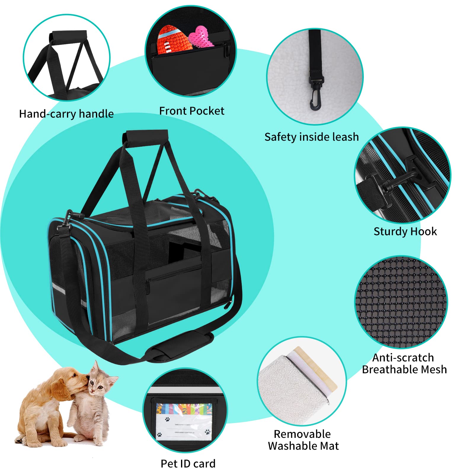 CUSSIOU carrier with collapsible bowl for on-the-go meals