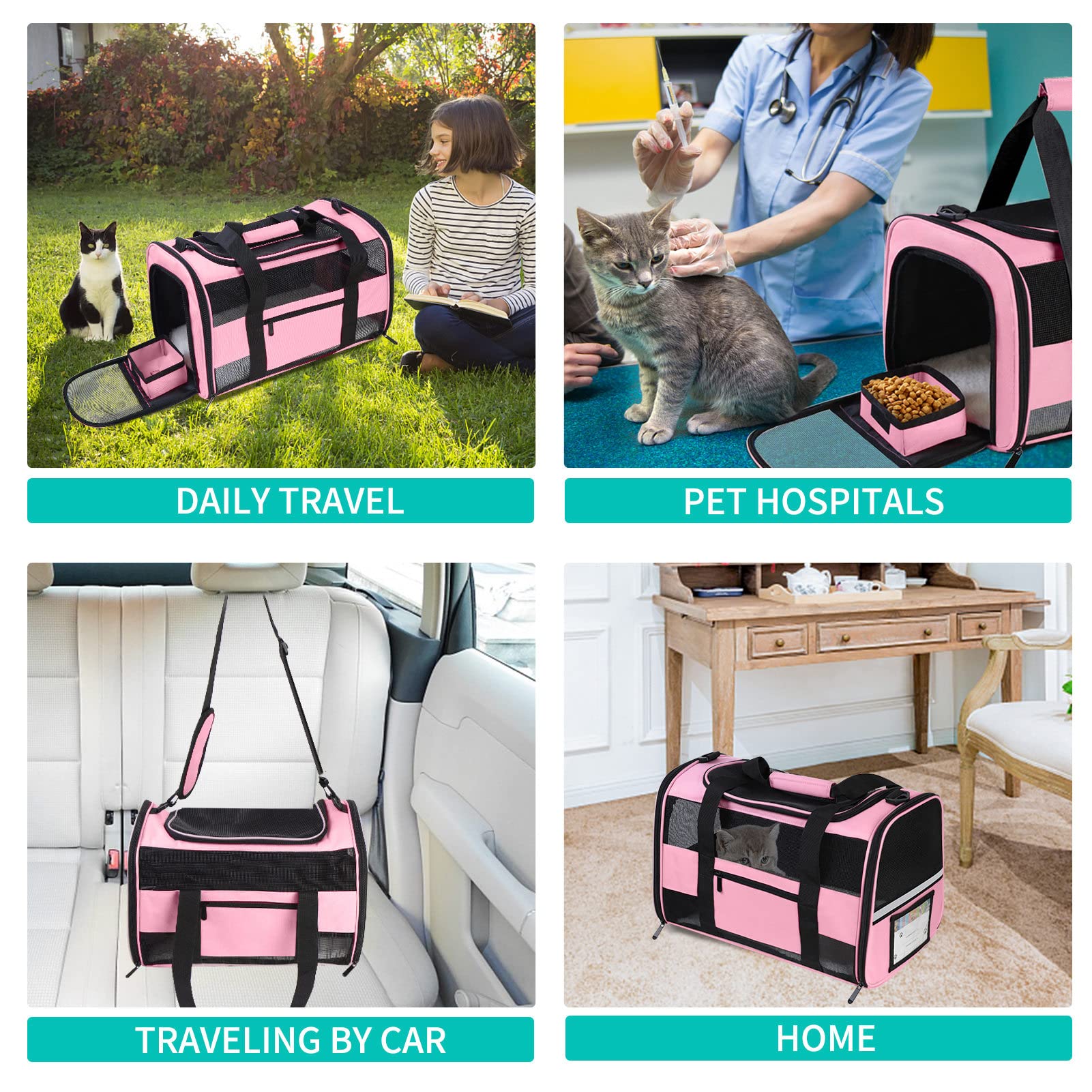 CUSSIOU collapsible food bowl fits travel days with your pet