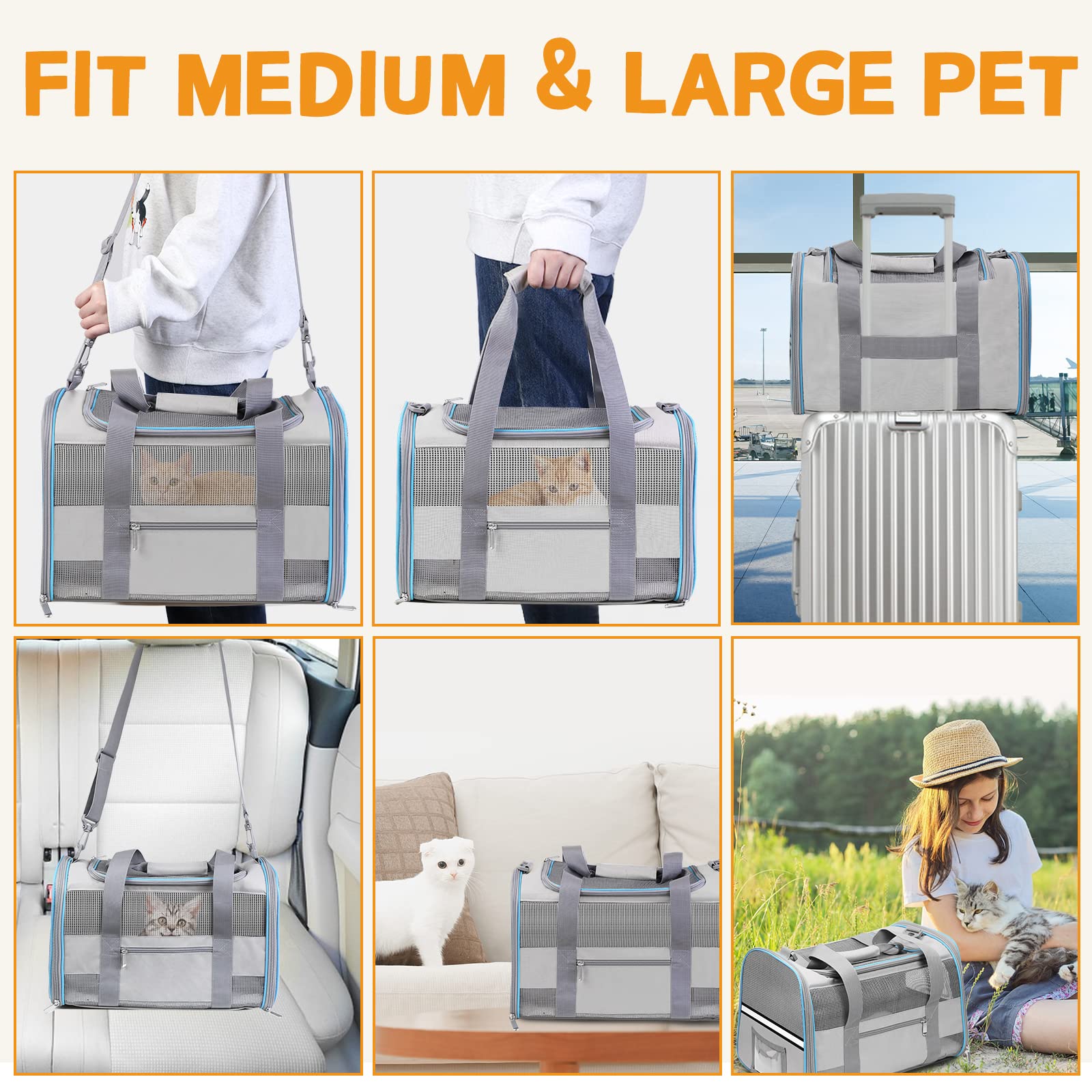 CUSSIOU large-cat carrier in car supports comfortable, organized road trips.