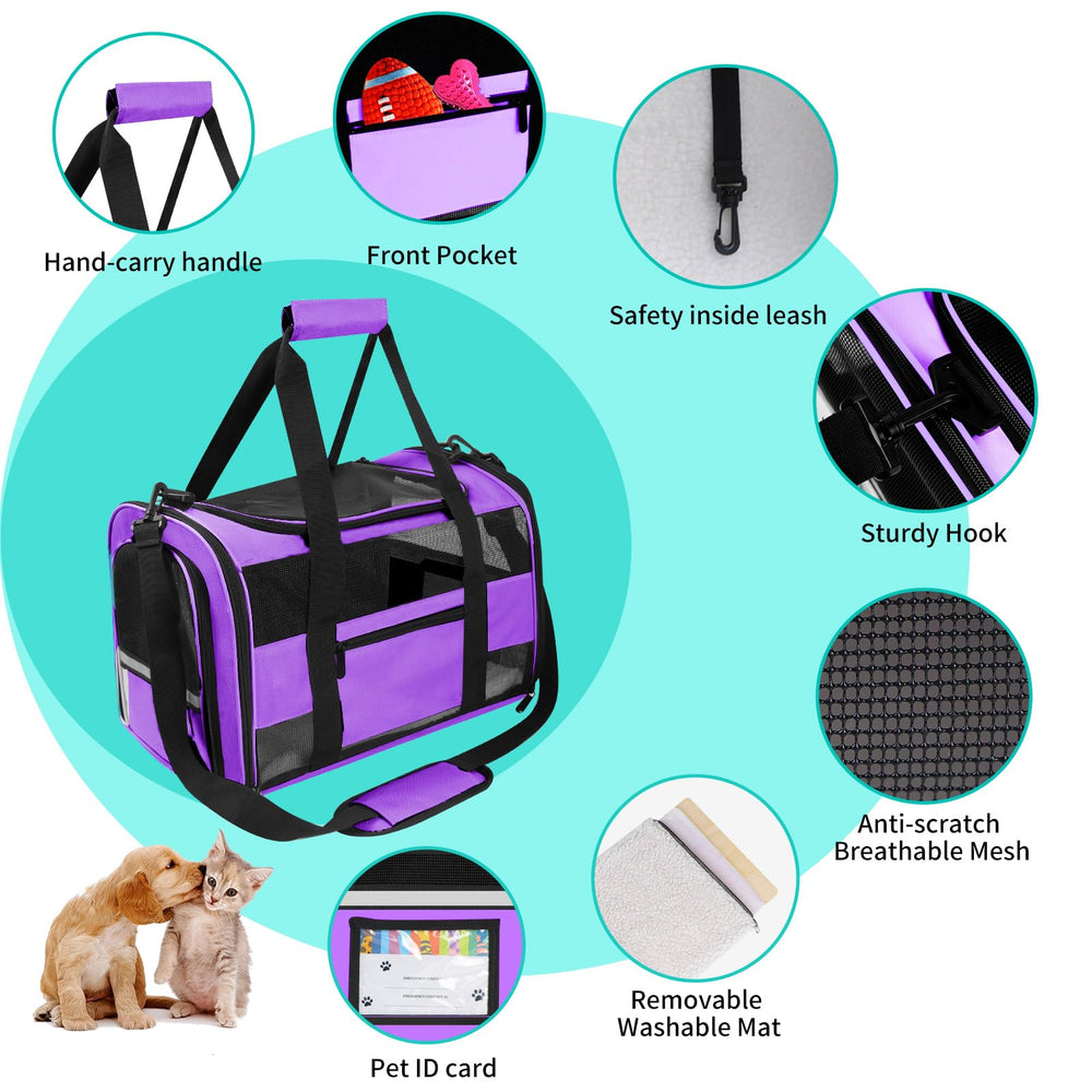 CUSSIOU carrier with storage pocket and collapsible bowl for on-the-go feeding