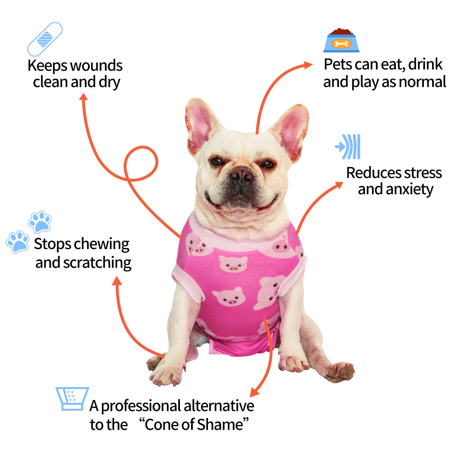 CuteBone cat surgical onesie fit protecting incisions while keeping pet comfortable and mobile.