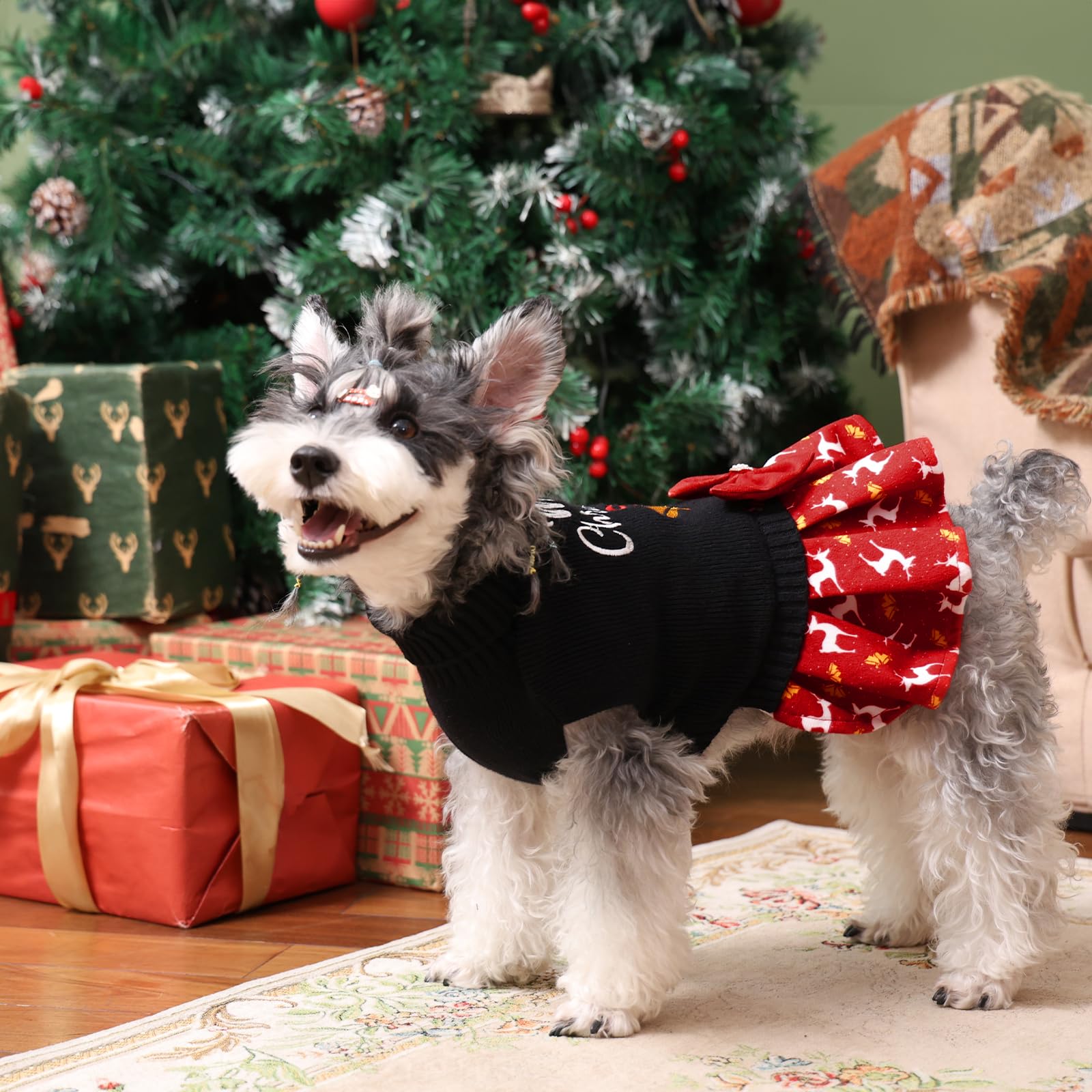 CuteBone sweater shows leash hole for quick leash attachment during walks.