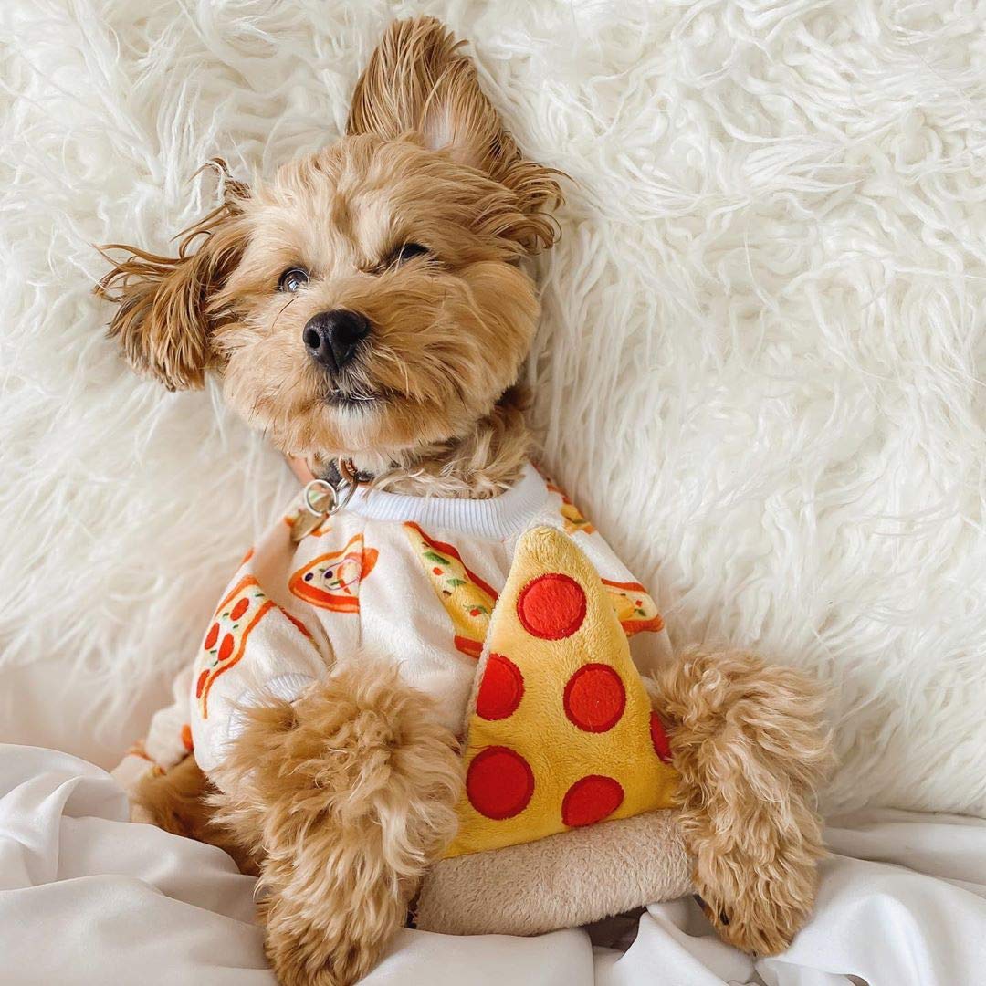 CuteBone cozy warmth dog pajamas soft fabric for secure soothing relaxation
