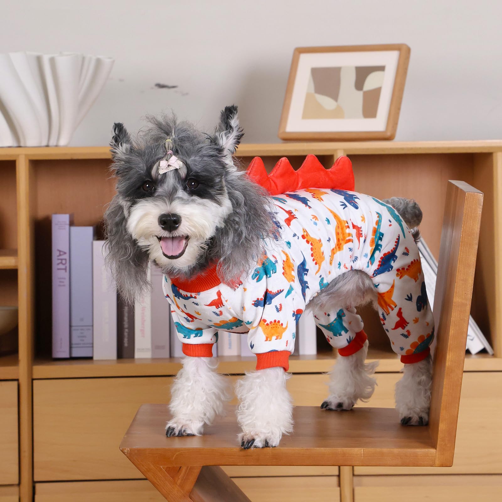 CuteBone dinosaur pajamas suitable for Halloween cosplay and festive outfits.