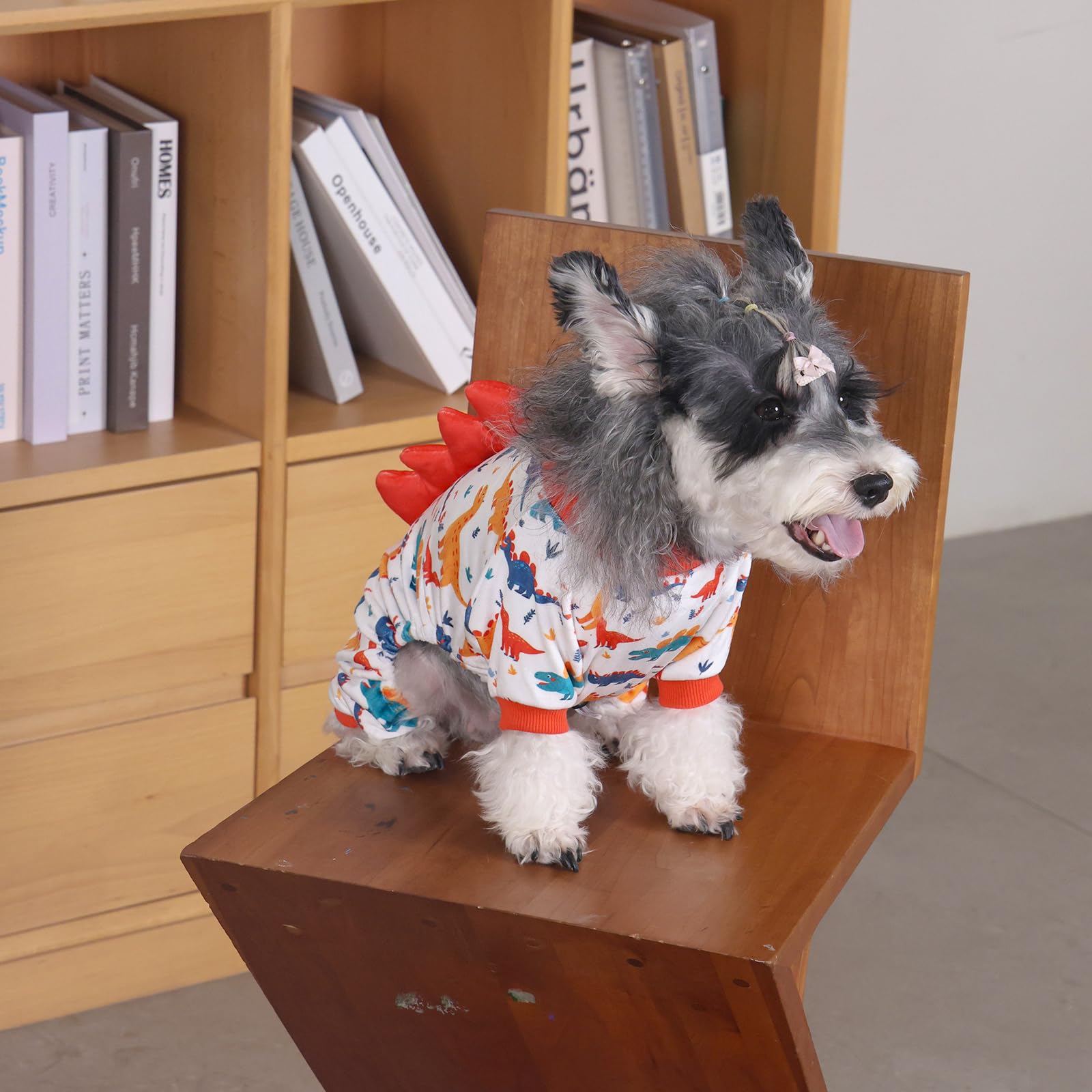 CuteBone dinosaur pajamas on a dog during play for lounging and photos.