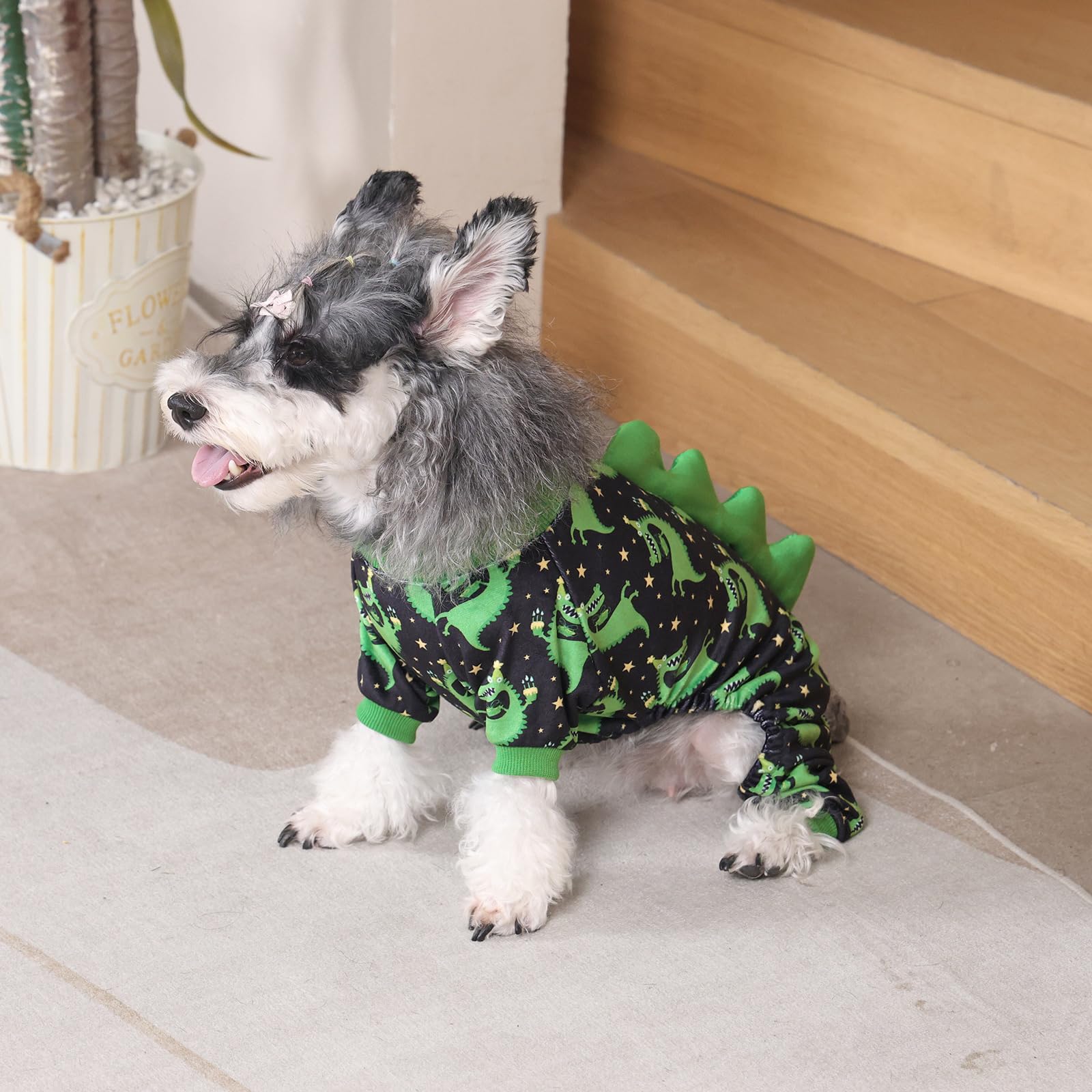 CuteBone small dog wearing cozy sleepwear during photoshoot session
