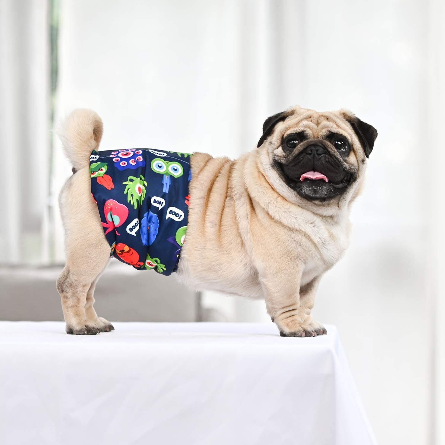 CuteBone DM07L three-design package helps differentiate pets at home